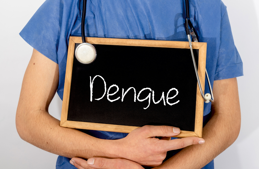 dengue 1