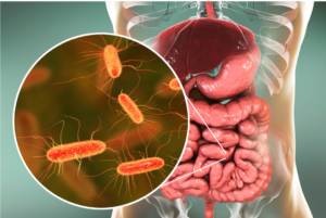 microbioma intestinal