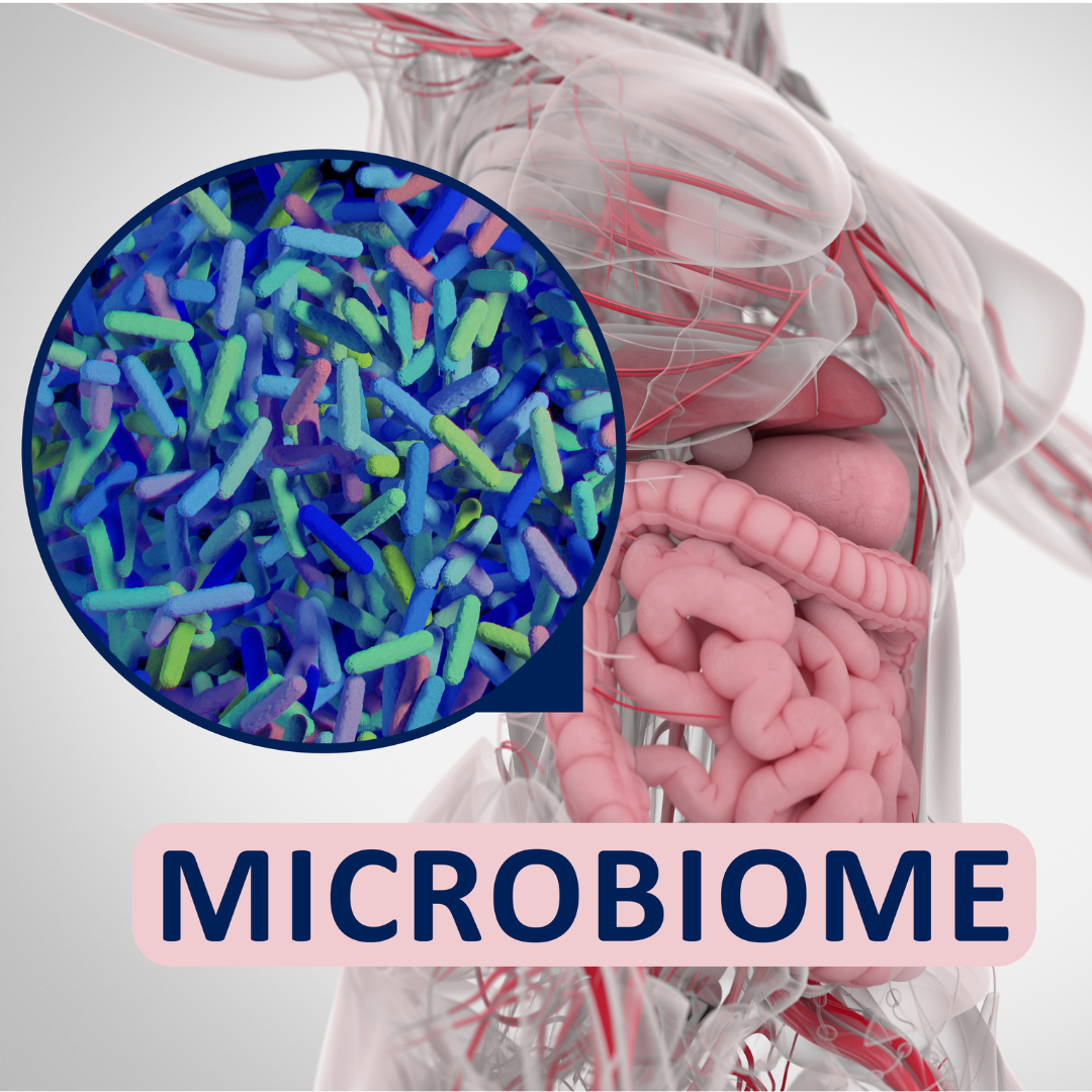 microbioma intestinal