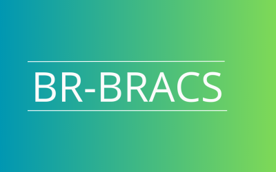 BR-BRACS: Tradução e adaptação transcultural (Boston Residue and Clearance Scale)